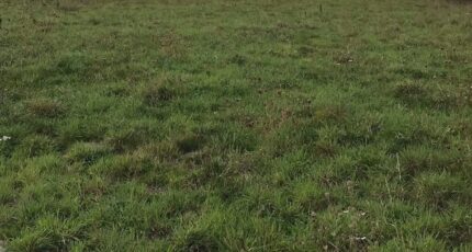 Lalacelle Terrain à bâtir - 2366683-1153annonce12025121218NrR.jpeg Maisons Open