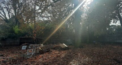 Gujan-Mestras Terrain à bâtir - 2370061-11151annonce120251216ohHTX.jpeg Maisons Open