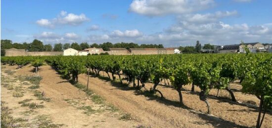 Terrain à bâtir à Canet, Occitanie