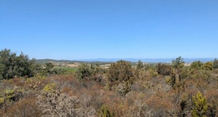 Saint-André-de-Roquelongue Terrain à bâtir - 2371227-10986annonce120250825PC7bJ.jpeg Maisons Open