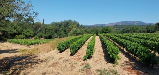 Terrain à bâtir à Cogolin, Provence-Alpes-Côte d'Azur