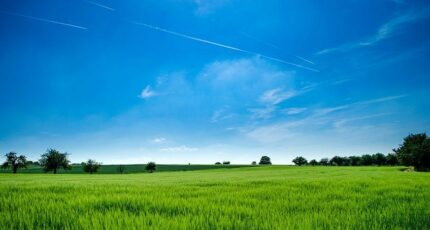 Boisemont Terrain à bâtir - 2372374-10436annonce1202512183Walu.jpeg Maisons Open