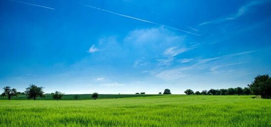 Terrain à bâtir à Taverny, Île-de-France