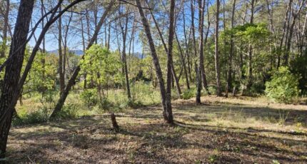 Bagnols-en-Forêt Terrain à bâtir - 2381454-5163annonce120260223z1TsI.jpeg Maisons Open