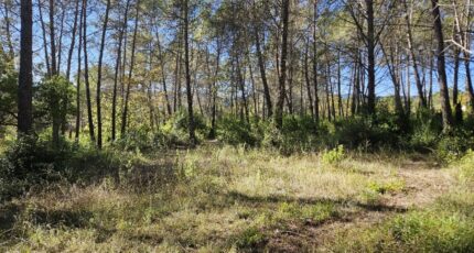 Bagnols-en-Forêt Terrain à bâtir - 2381454-5163annonce220260223MJVFw.jpeg Maisons Open