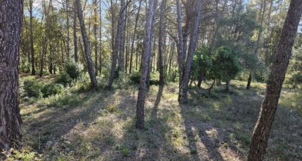 Bagnols-en-Forêt Terrain à bâtir - 2381454-5163annonce320260223R8Pwo.jpeg Maisons Open