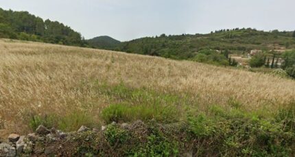 Embres-et-Castelmaure Terrain à bâtir - 2380818-692annonce120260105QPLTI.jpeg Maisons Open