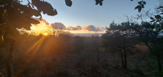 Terrain à bâtir à , Gard