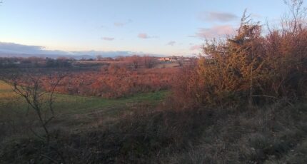 Barjac Terrain à bâtir - 2381525-5100annonce320260105xT5lF.jpeg Maisons Open