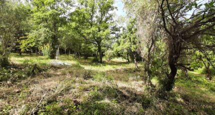 Flayosc Terrain à bâtir - 2381605-10295annonce320260105vCaaS.jpeg Maisons Open