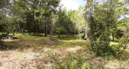 Flayosc Terrain à bâtir - 2381620-10295annonce120260105dRsJV.jpeg Maisons Open