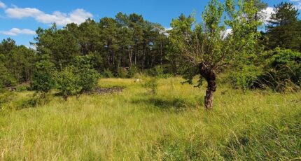 Chambonas Terrain à bâtir - 2381639-5100annonce120260105Z3Ja2.jpeg Maisons Open