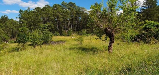 Terrain à bâtir à Chambonas, Auvergne-Rhône-Alpes