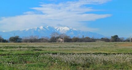 Villeneuve-de-la-Raho Terrain à bâtir - 2381900-4671annonce120260105Azv5s.jpeg Maisons Open