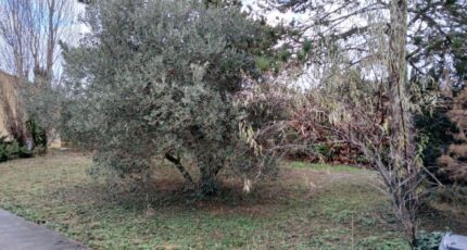 Marsillargues Terrain à bâtir - 2382023-11040annonce120260105Nx7r4.jpeg Maisons Open