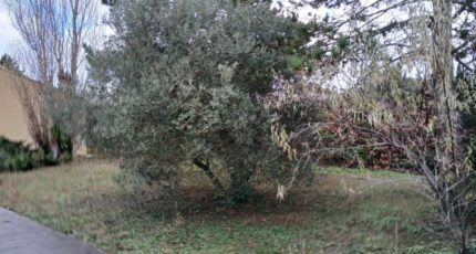 Marsillargues Terrain à bâtir - 2382036-11040annonce120260105soBNp.jpeg Maisons Open