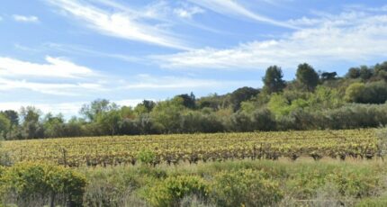 Ginestas Terrain à bâtir - 2381517-692annonce1202601052IKLI.jpeg Maisons Open