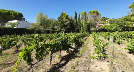 Draguignan Terrain à bâtir - 2382141-10295annonce120250908IZtXl.jpeg Maisons Open