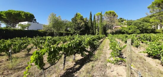 Terrain à bâtir à Draguignan, Provence-Alpes-Côte d'Azur