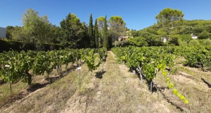 Draguignan Terrain à bâtir - 2382141-10295annonce220250908v4uOU.jpeg Maisons Open