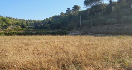 Cotignac Terrain à bâtir - 2382565-10744annonce3202512014gEMW.jpeg Maisons Open