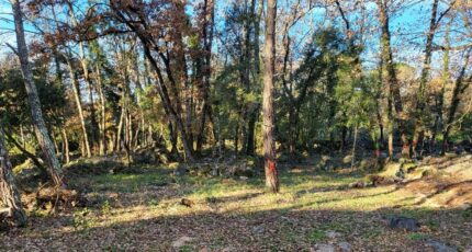 Camps-la-Source Terrain à bâtir - 2382580-10744annonce220251201HklsL.jpeg Maisons Open