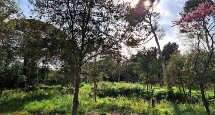 Cournonsec Terrain à bâtir - 2383769-3243annonce220250912zXgIt.jpeg Maisons Open