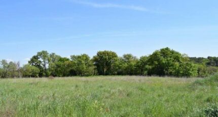 Galargues Terrain à bâtir - 2383886-3243annonce120250510JkKZQ.jpeg Maisons Open