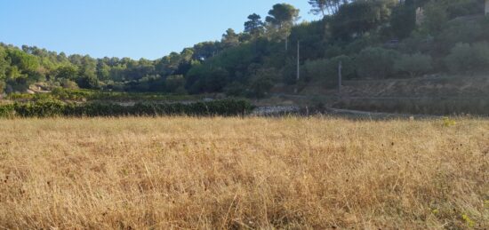 Terrain à bâtir à Cotignac, Provence-Alpes-Côte d'Azur