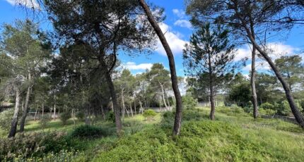 Guzargues Terrain à bâtir - 2384199-3243annonce3202509173gsB6.jpeg Maisons Open