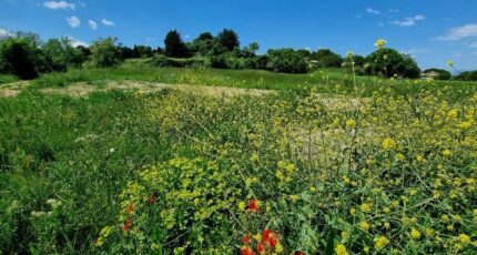 Montagnac Terrain à bâtir - 2384299-3243annonce120250917zldSS.jpeg Maisons Open