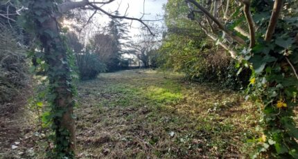 Saint-Jean Terrain à bâtir - 2383183-5604annonce520260106lcfhW.jpeg Maisons Open