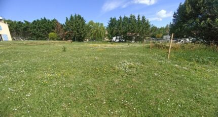 Pibrac Terrain à bâtir - 2383300-10327annonce120260106hTvvD.jpeg Maisons Open