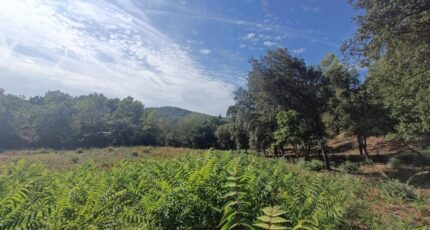 Taradeau Terrain à bâtir - 2384968-9911annonce320260107HT7ew.jpeg Maisons Open