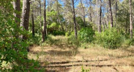 Bagnols-en-Forêt Terrain à bâtir - 2385025-11157annonce220260107LeQ1D.jpeg Maisons Open