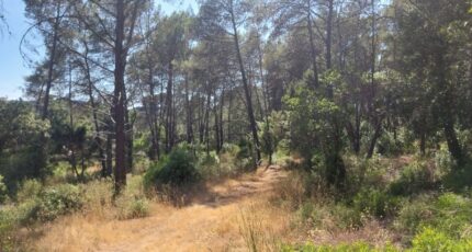 Bagnols-en-Forêt Terrain à bâtir - 2385025-11157annonce320260107RrQlh.jpeg Maisons Open