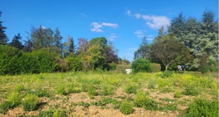 Auffargis Terrain à bâtir - 2385584-10686annonce120260108cTk83.jpeg Maisons Open