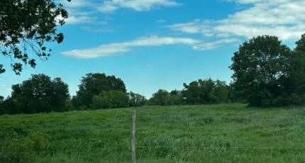 Blauzac Terrain à bâtir - 2385385-3243annonce120250916GMdoo.jpeg Maisons Open