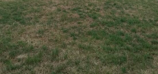 Terrain à bâtir à Montilly-sur-Noireau, Normandie