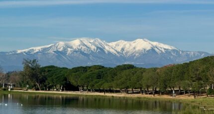 Villeneuve-de-la-Raho Terrain à bâtir - 2389405-666annonce120260112mHubt.jpeg Maisons Open