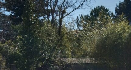 Volx Terrain à bâtir - 2389790-9917annonce120250820td0fy.jpeg Maisons Open