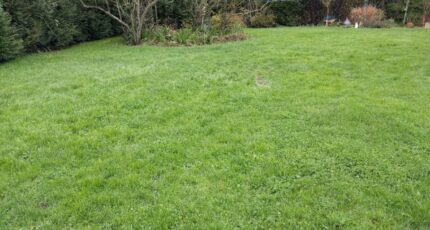 Monnerville Terrain à bâtir - 2389974-11705annonce320260210KKQxG.jpeg Maisons Open