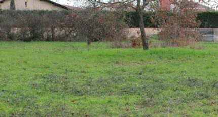 Frouzins Terrain à bâtir - 2391762-10326annonce120260113FCzKq.jpeg Maisons Open