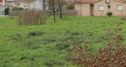 Frouzins Terrain à bâtir - 2391762-10326annonce2202601131Gyi4.jpeg Maisons Open