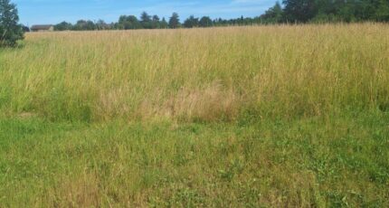 Larra Terrain à bâtir - 2391889-3575annonce220260114zSJXB.jpeg Maisons Open