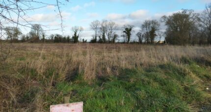 Audrieu Terrain à bâtir - 2392166-11660annonce120260130Tt4Dr.jpeg Maisons Open