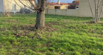 La Plaine-sur-Mer Terrain à bâtir - 2390955-11110annonce2202601135XqQJ.jpeg Maisons Open