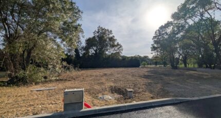 Châteauneuf-Grasse Terrain à bâtir - 2392563-9270annonce2202509198Tvgz.jpeg Maisons Open