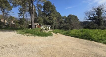 Peymeinade Terrain à bâtir - 2391886-11719annonce220260114toKkI.jpeg Maisons Open