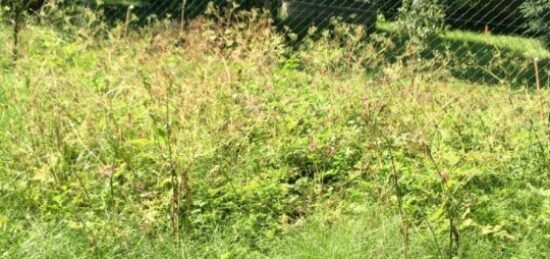 Terrain à bâtir à Villenoy, Île-de-France